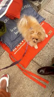 Thaís Bianca feet photo thumbnail