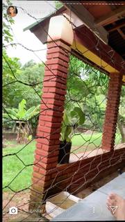 Thaís Bianca feet photo thumbnail