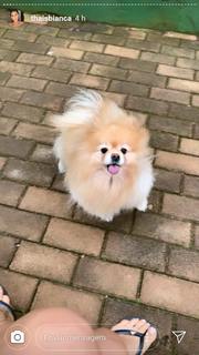 Thaís Bianca feet photo thumbnail