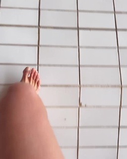 Therese Alshammar feet photo 16