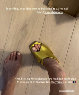 Therese Alshammar feet photo 7