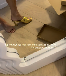 Therese Alshammar feet photo 5