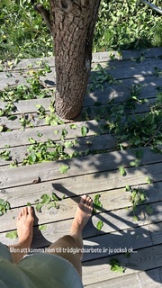 Therese Alshammar feet photo 8