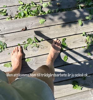 Therese Alshammar feet photo 7