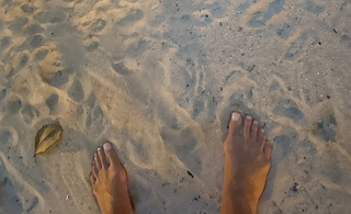 Therese Alshammar feet photo 8
