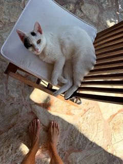Therese Alshammar feet photo 18