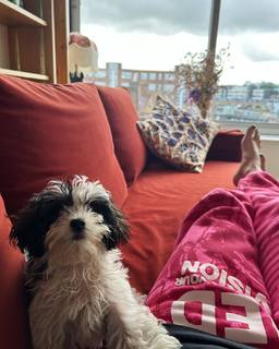 Thomasin McKenzie feet photo thumbnail