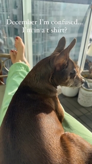 Tiera Skovbye feet photo thumbnail