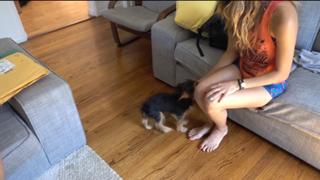 Tiffany Del Real feet photo 13
