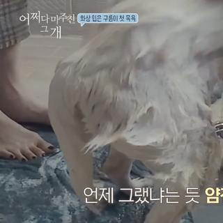 Tiffany Hwang feet photo thumbnail
