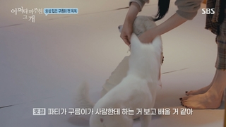 Tiffany Young feet photo 14
