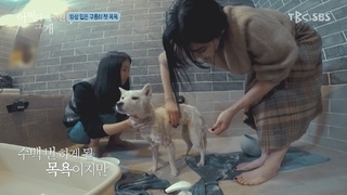 Tiffany Young feet photo 13