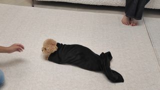 Tiffany Young feet photo 14
