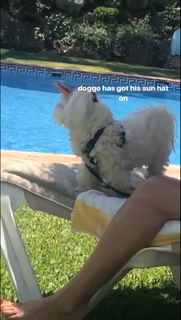 Tilly Keeper feet photo thumbnail