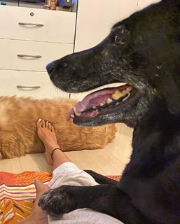 Tina Datta feet photo thumbnail