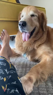 Tina Datta feet photo thumbnail