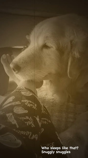 Tina Datta feet photo thumbnail