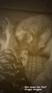 Tina Datta feet photo thumbnail