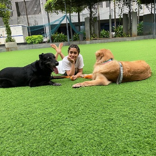 Tina Datta feet photo thumbnail