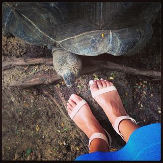 Tina Kandelaki feet photo thumbnail