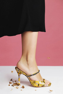 Tina Karol feet photo thumbnail