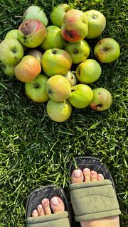 Tina Karol feet photo thumbnail