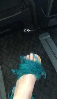 Tina Tamashiro feet photo 11