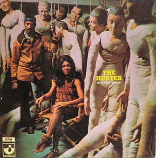 Tina Turner feet photo thumbnail