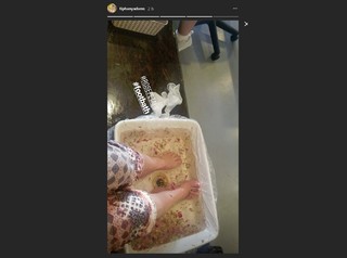Tiphany Adams feet photo 13