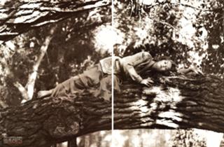Tippi Hedren feet photo 18
