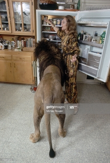 Tippi Hedren feet photo 10