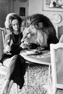 Tippi Hedren feet photo 6