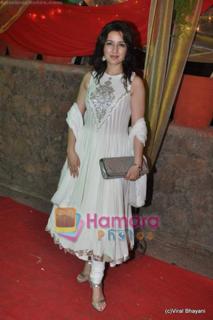 Tisca Chopra feet photo thumbnail