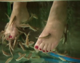 Titi Müller feet photo 7