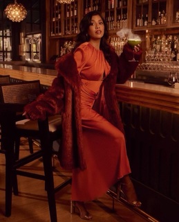 Tiya Sircar feet photo 11