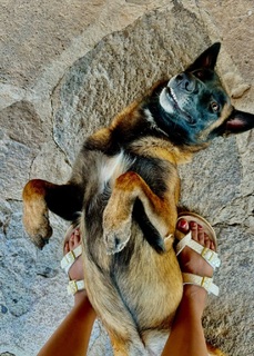 Tiya Sircar feet photo 7