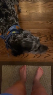Tomi Lahren feet photo thumbnail
