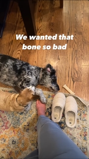 Tomi Lahren feet photo thumbnail