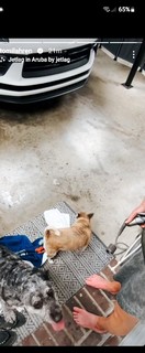 Tomi Lahren feet photo thumbnail