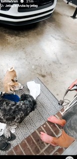 Tomi Lahren feet photo thumbnail