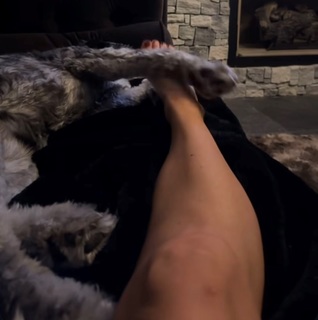 Tomi Lahren feet photo thumbnail