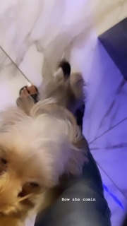 Tommie Lee feet photo 15
