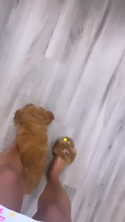 Tommie Lee feet photo 7