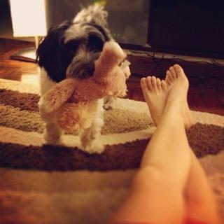 Toni Gonzaga feet photo 3