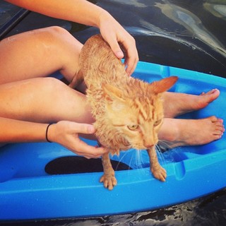 Toni Rossall feet photo thumbnail