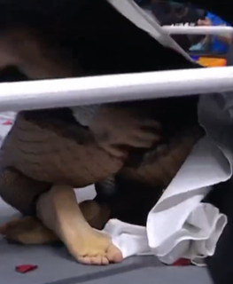 Toni Rossall feet photo thumbnail