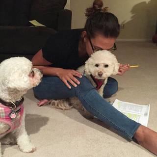 Toni Trucks feet photo 5
