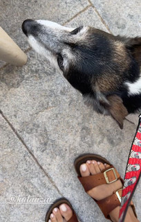 Tonia Sotiropoulou feet photo 16