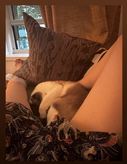 Tonya Glanz feet photo 1