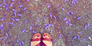 Tori Anderson feet photo 4